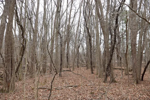 $74,900 | Mayer Road, Unit LOT 4, Goodells, MI 48027