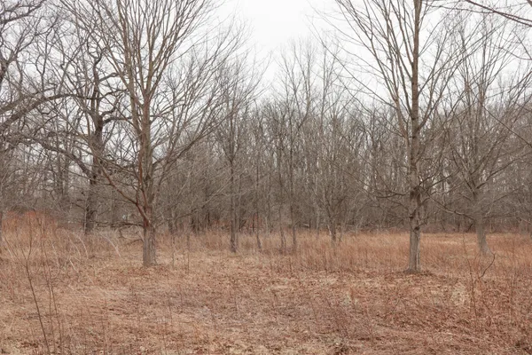 $74,900 | Mayer Road, Unit LOT 4, Goodells, MI 48027