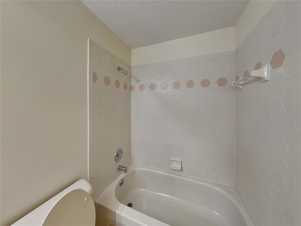3024 Andover Court Mount Dora, FL 32757 - Photo 13 of 17 a bathroom with a bathtub