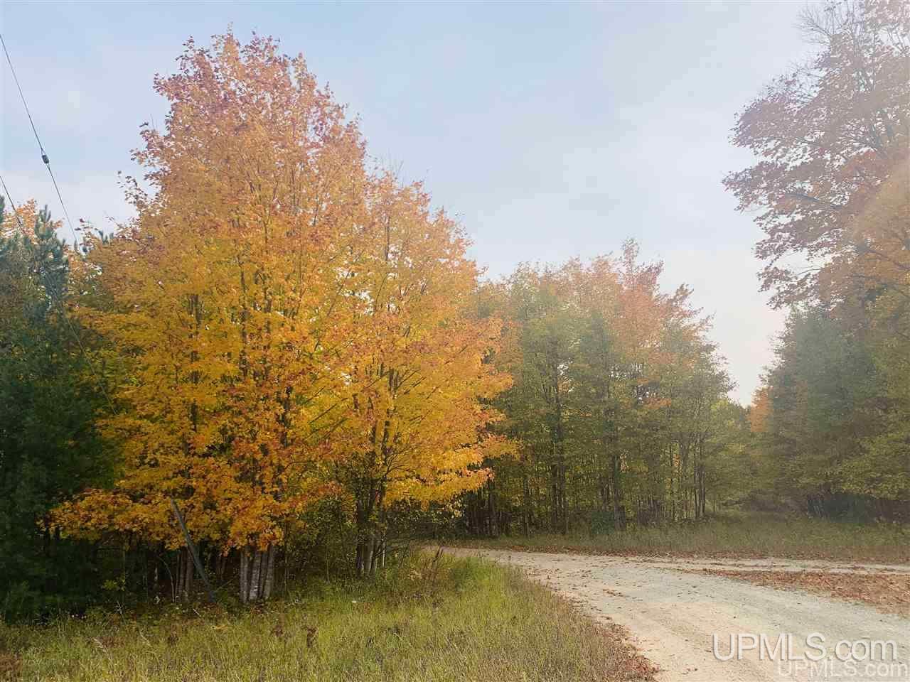 Tbd Off Of Flodin Road Garden, MI 49835 - Photo 1 of 13