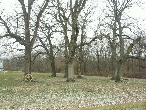 1078 North 2803rd Road Utica, IL 61373 - Photo 23 of 24