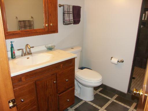 1078 North 2803rd Road Utica, IL 61373 - Photo 6 of 24