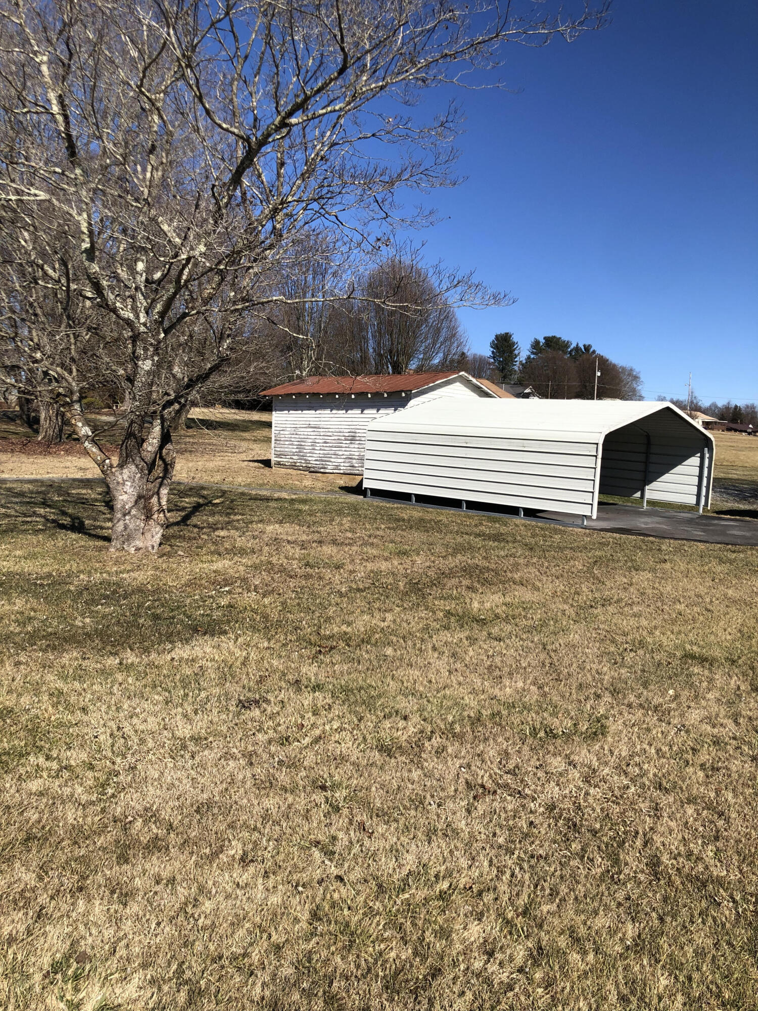 1765 Highway 93 Fall Branch, TN 37656 - Photo 11 of 60 Detached carport