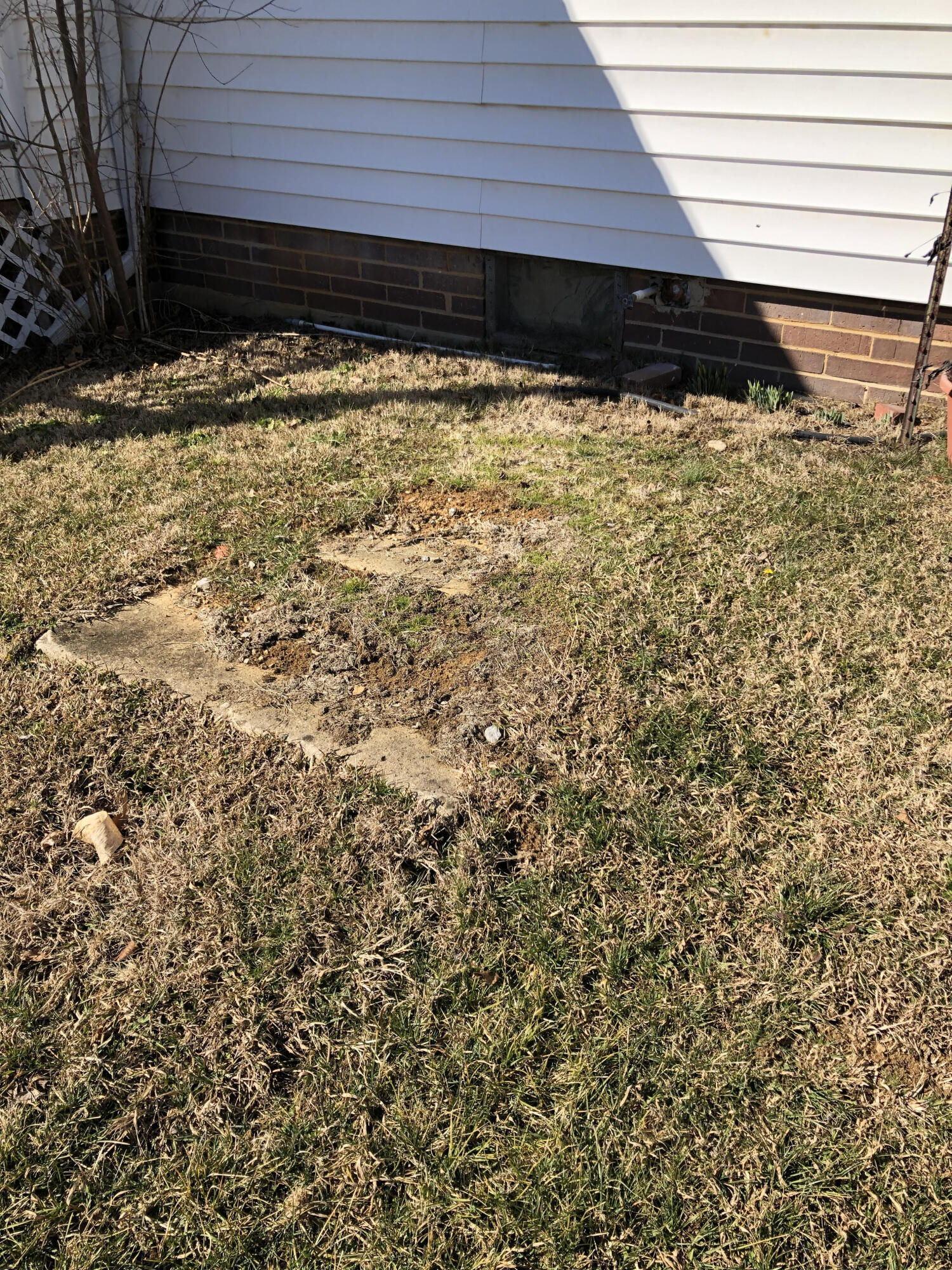 1765 Highway 93 Fall Branch, TN 37656 - Photo 50 of 60 unnamed (57)