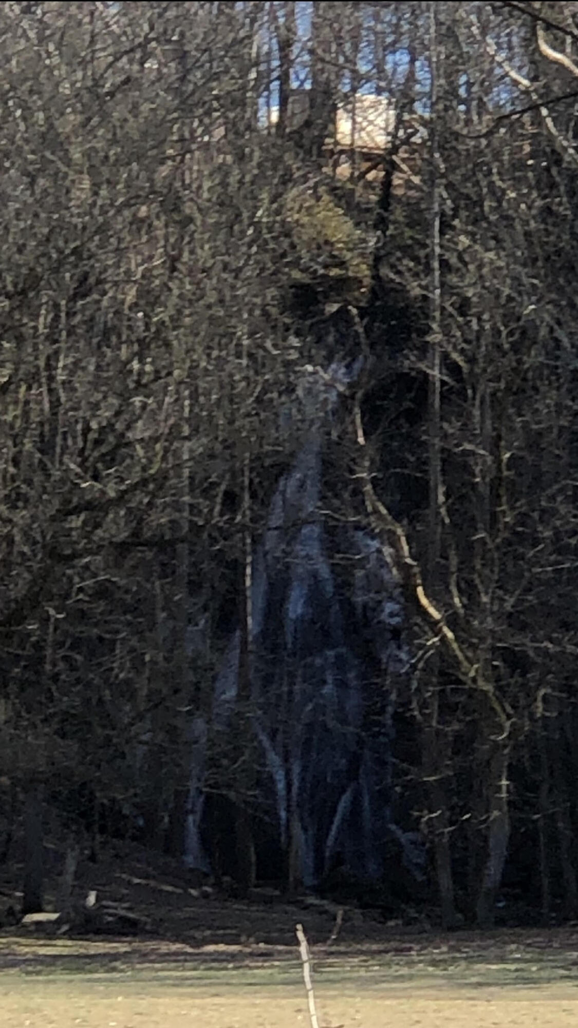 1765 Highway 93 Fall Branch, TN 37656 - Photo 51 of 60 Waterfall