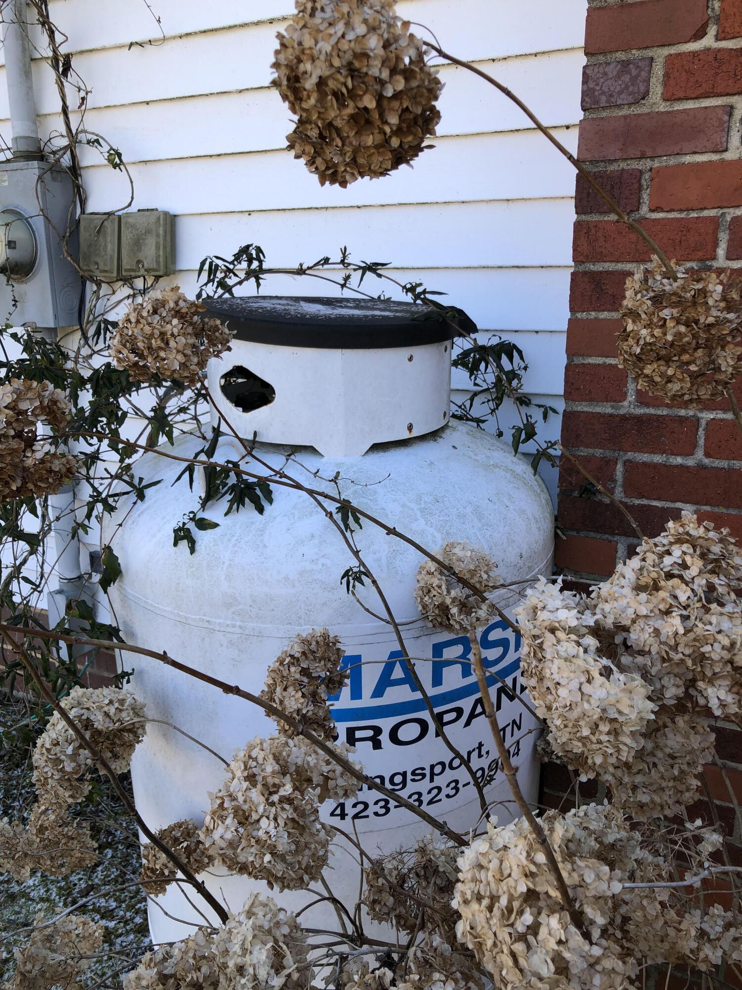 1765 Highway 93 Fall Branch, TN 37656 - Photo 53 of 60 Propane