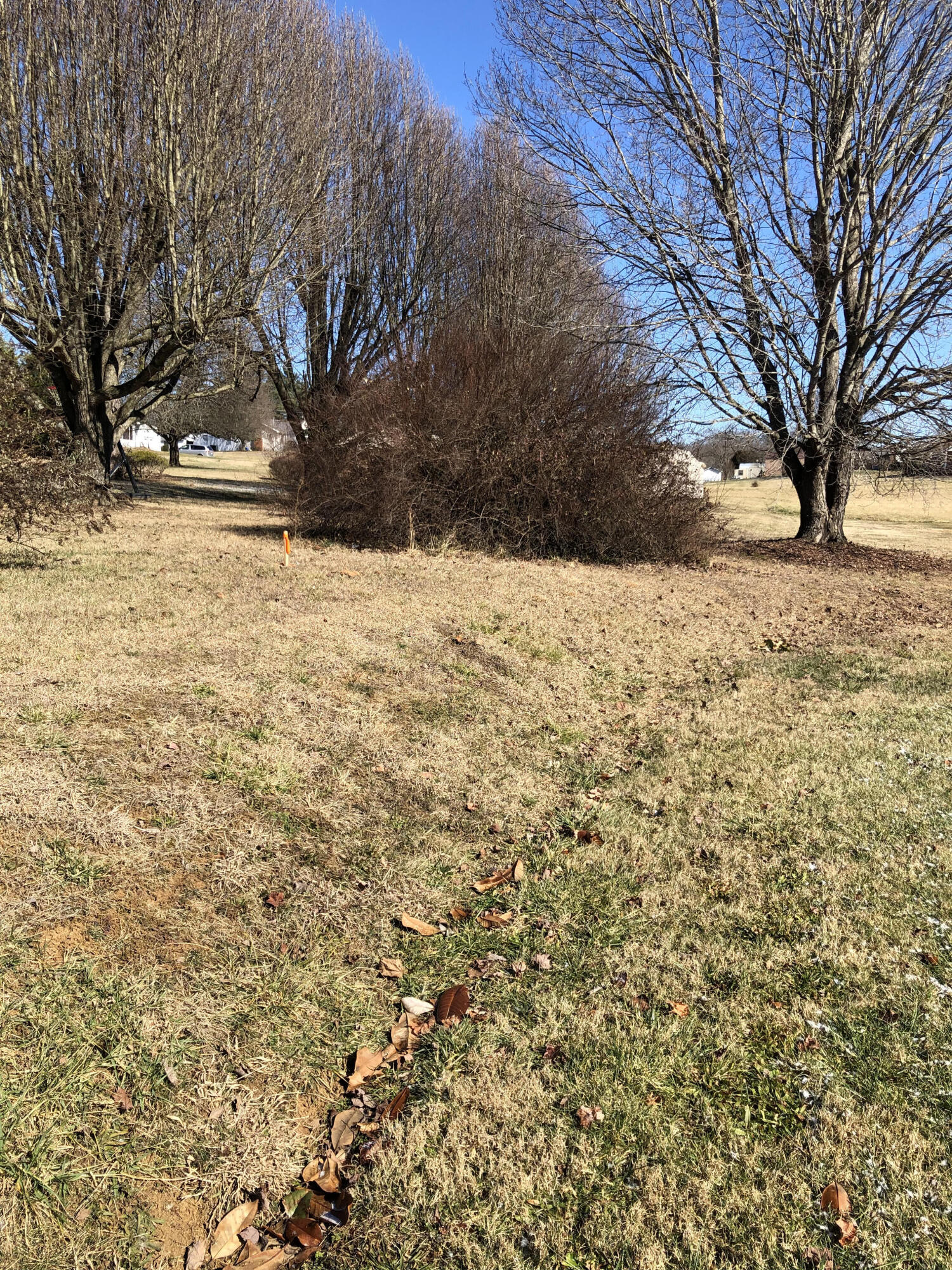 1765 Highway 93 Fall Branch, TN 37656 - Photo 60 of 60 Yard