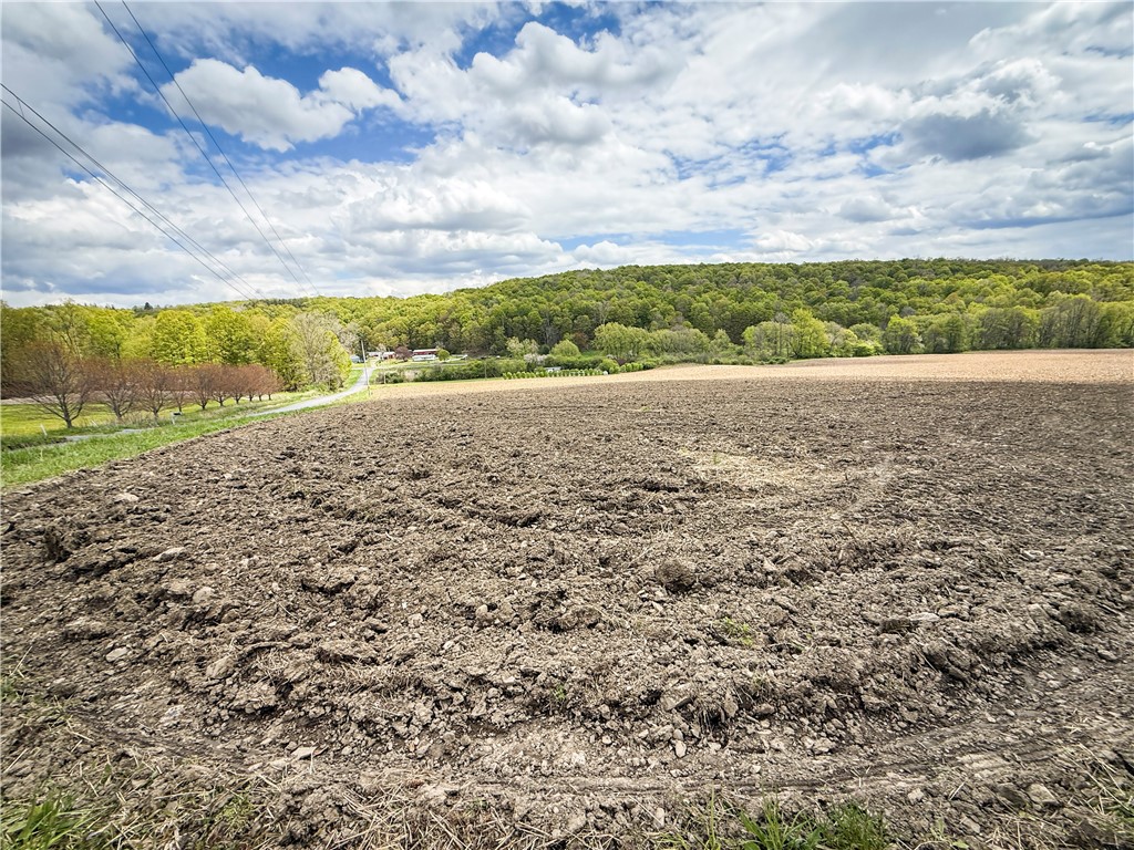 5360 Church Road Moravia, NY 13118 - Photo 37 of 50