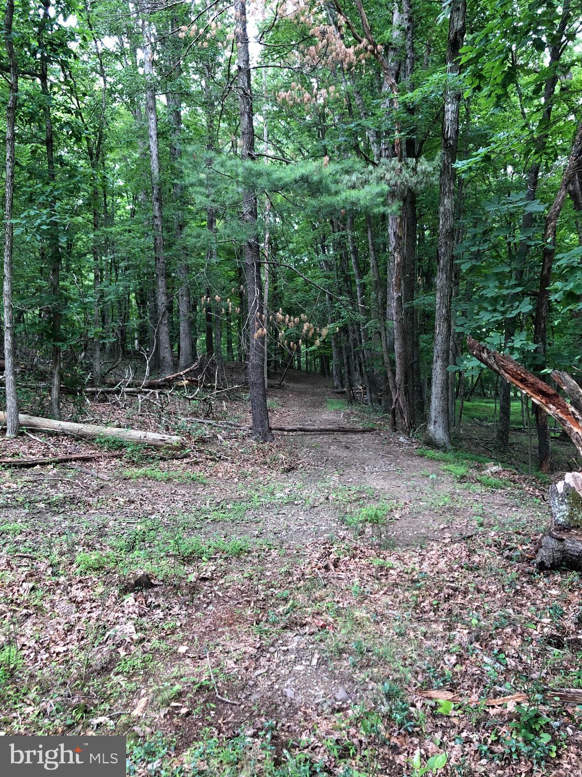 Timber Ridge Berkeley Springs, WV 25411 - Photo 11 of 14