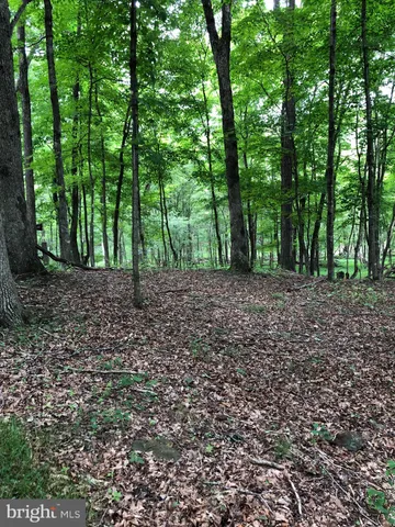 $175,000 | Timber Ridge, Berkeley Springs, WV 25411