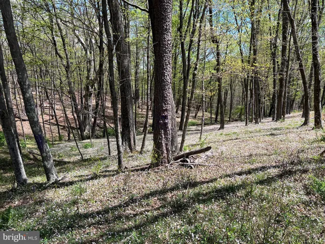 $175,000 | Timber Ridge, Berkeley Springs, WV 25411