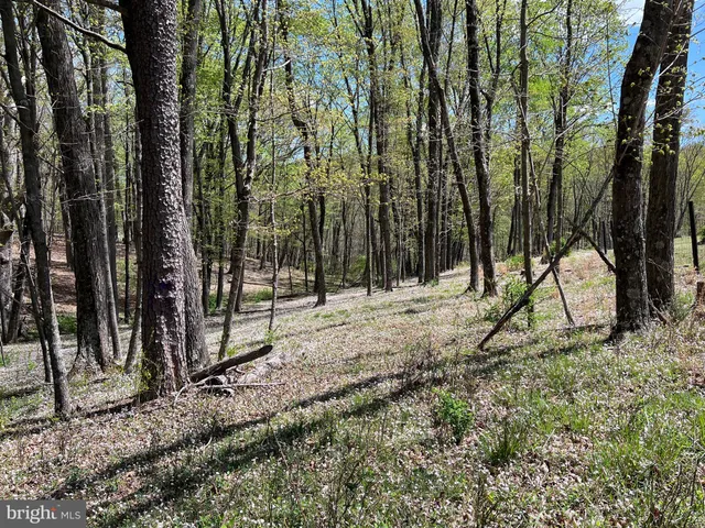 $175,000 | Timber Ridge, Berkeley Springs, WV 25411