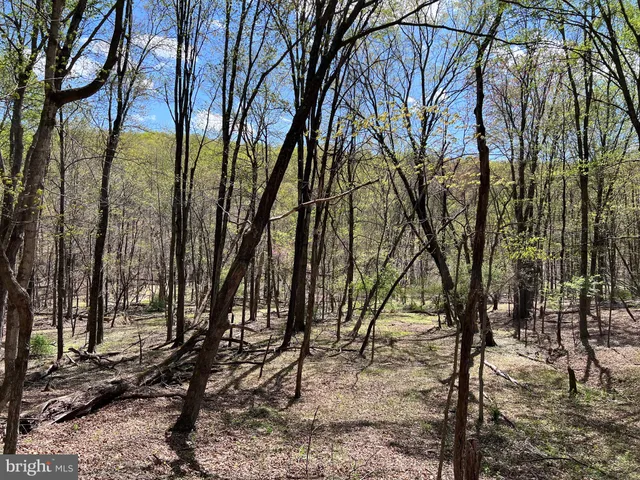 $175,000 | Timber Ridge, Berkeley Springs, WV 25411