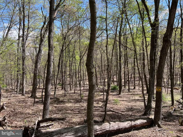 $175,000 | Timber Ridge, Berkeley Springs, WV 25411