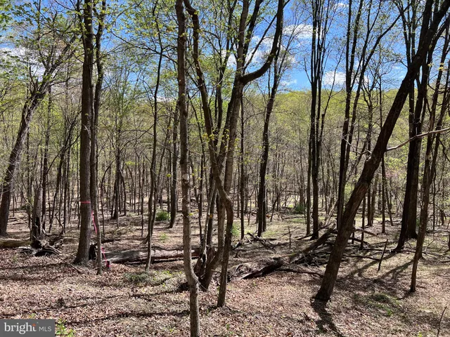 $175,000 | Timber Ridge, Berkeley Springs, WV 25411