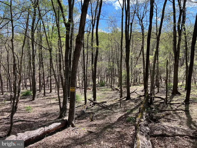 $175,000 | Timber Ridge, Berkeley Springs, WV 25411