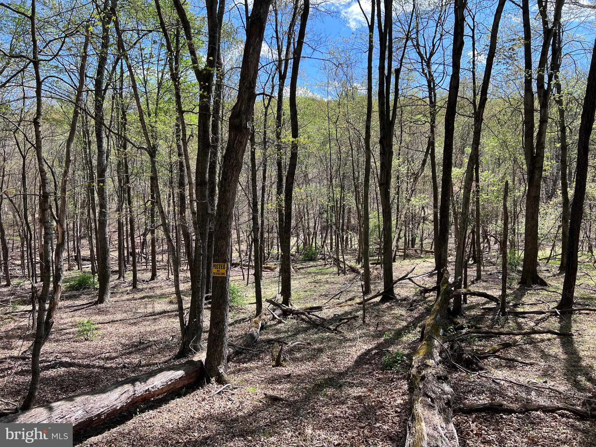 Timber Ridge Berkeley Springs, WV 25411 - Photo 8 of 14