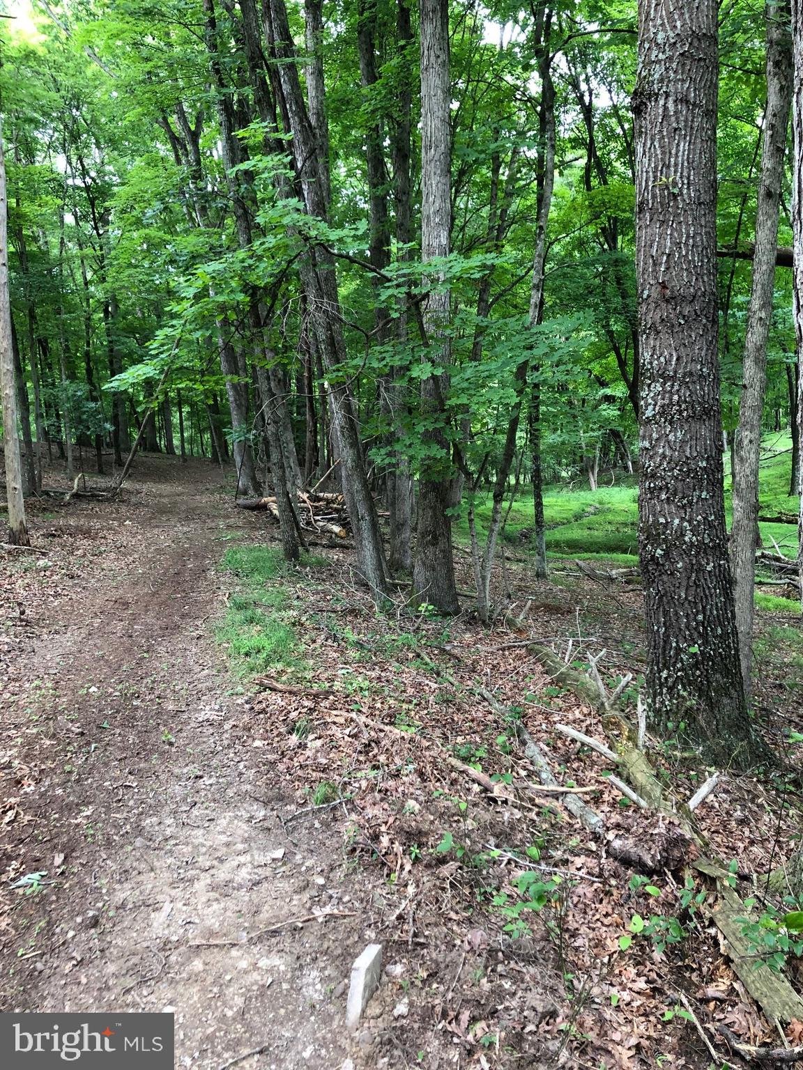 Timber Ridge Berkeley Springs, WV 25411 - Photo 10 of 14