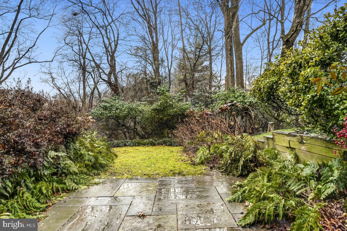 2167 Greenkeepers Court Reston, VA 20191 - Photo 49 of 51 Private Backyard