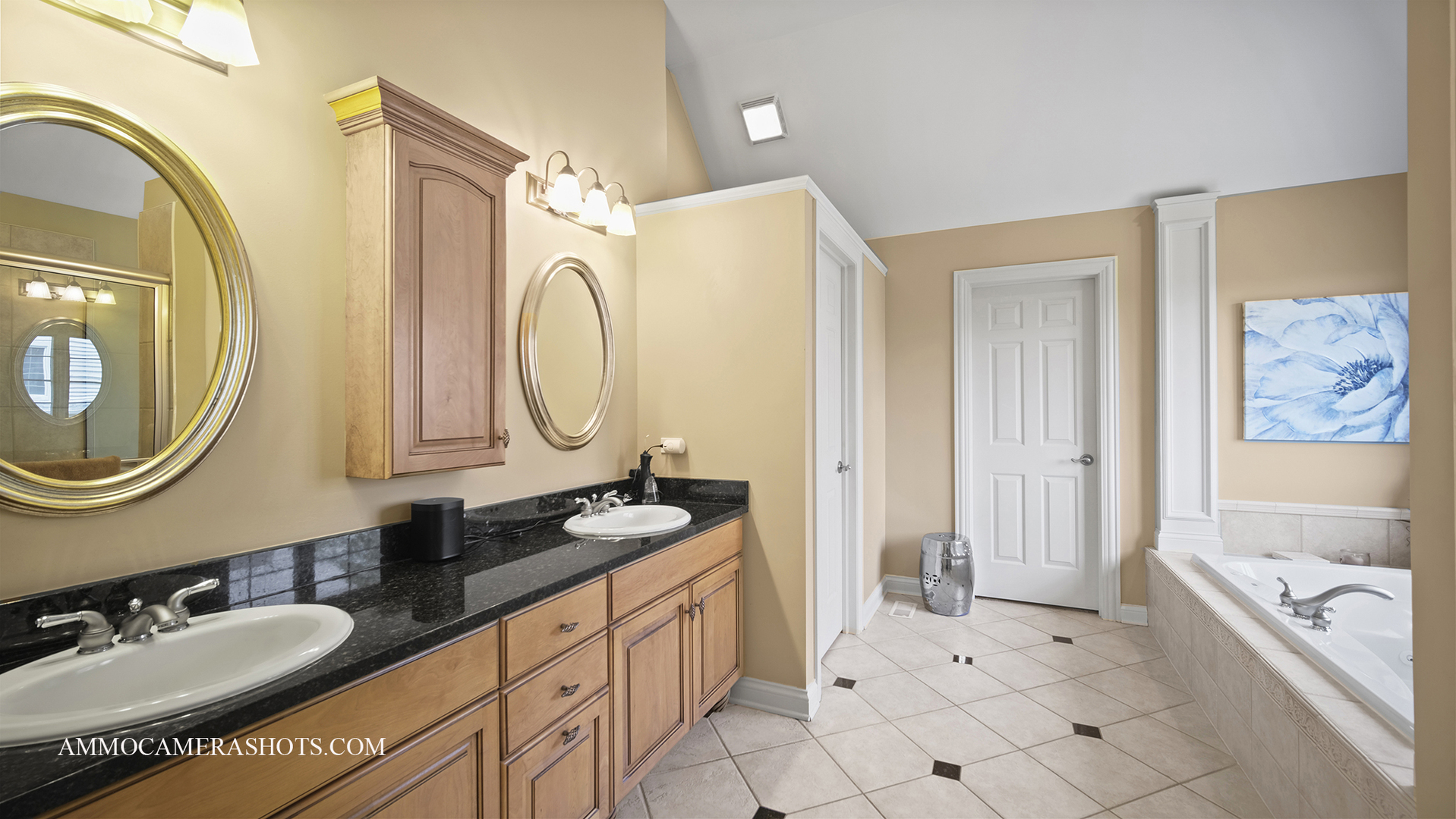 39W555 Walt Whitman Road St. Charles, IL 60175 - Photo 28 of 52 a spacious bathroom with a granite countertop tub sink and mirror