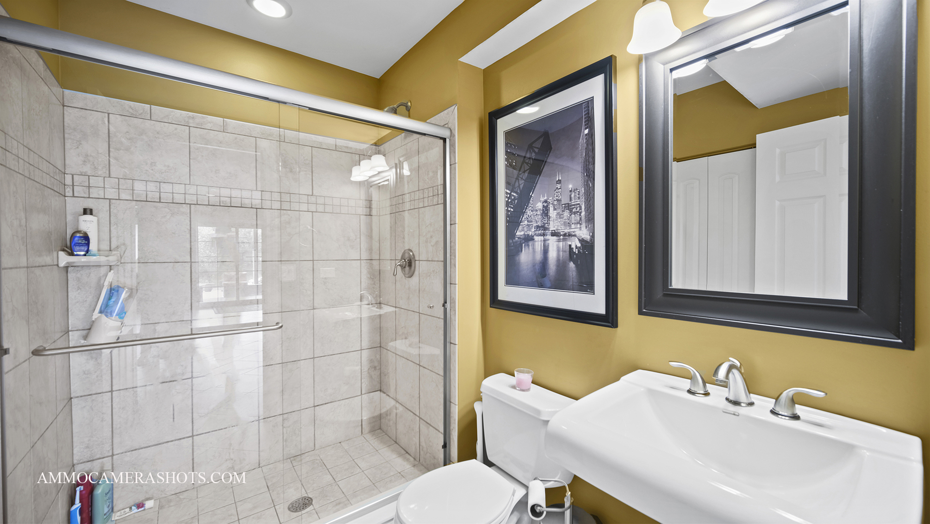 39W555 Walt Whitman Road St. Charles, IL 60175 - Photo 43 of 52 a bathroom with a sink and a mirror