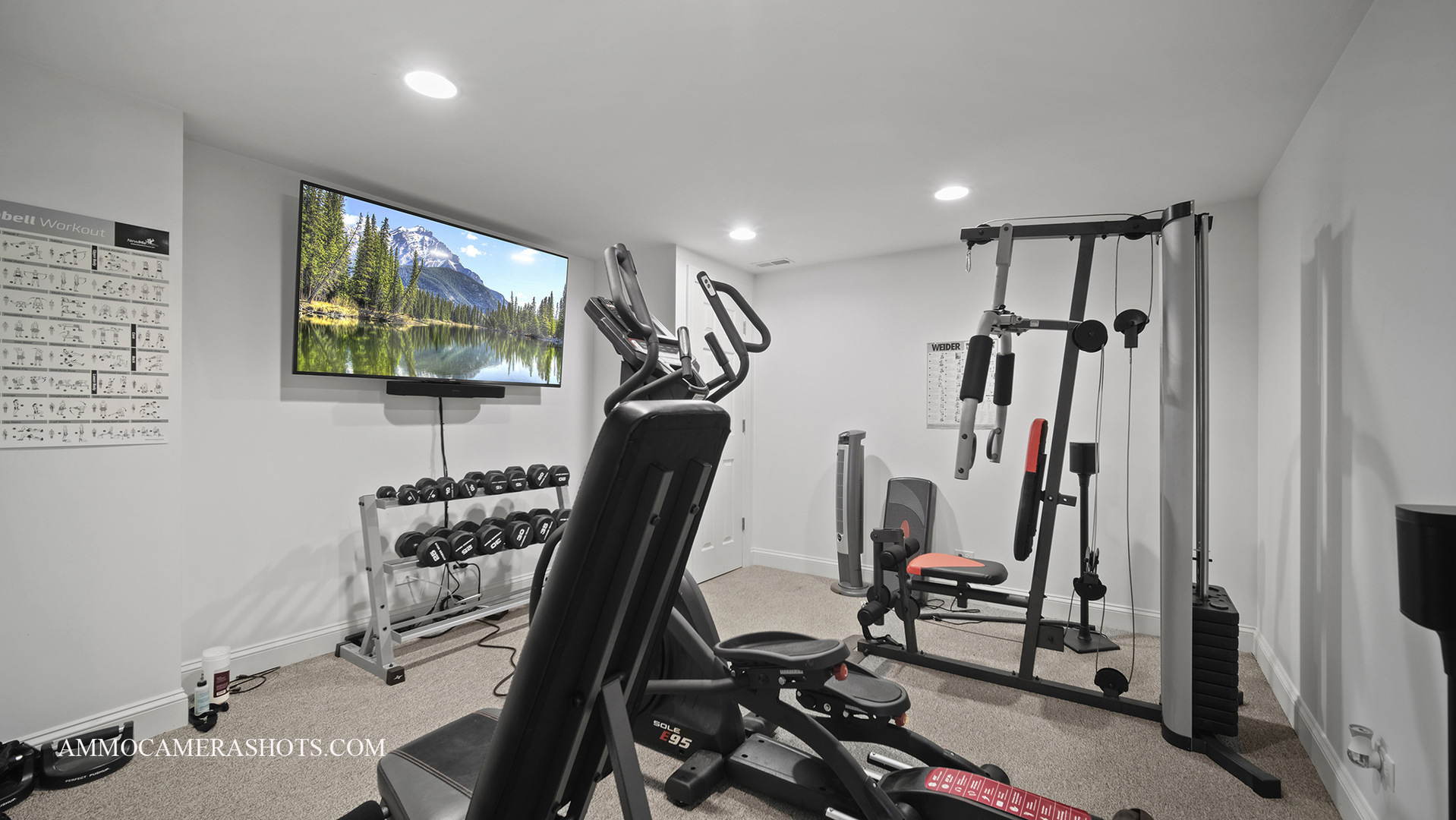 39W555 Walt Whitman Road St. Charles, IL 60175 - Photo 45 of 52 a view of a room with gym equipment
