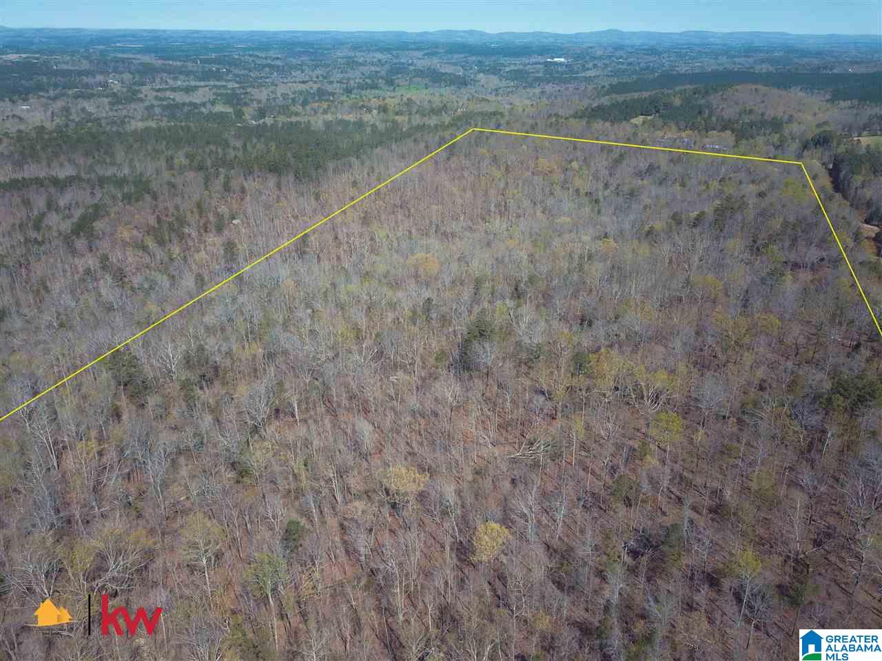 0 Powell Road Remlap, AL 35133 - Photo 16 of 19