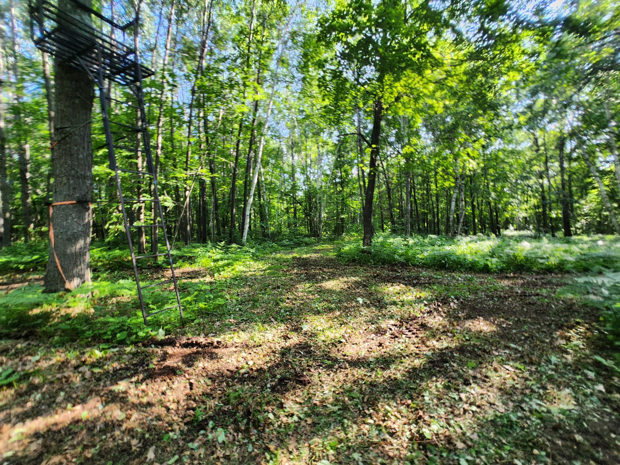 Tbd Tbd Nokay Hall Road Brainerd, MN 56401 - Photo 26 of 31