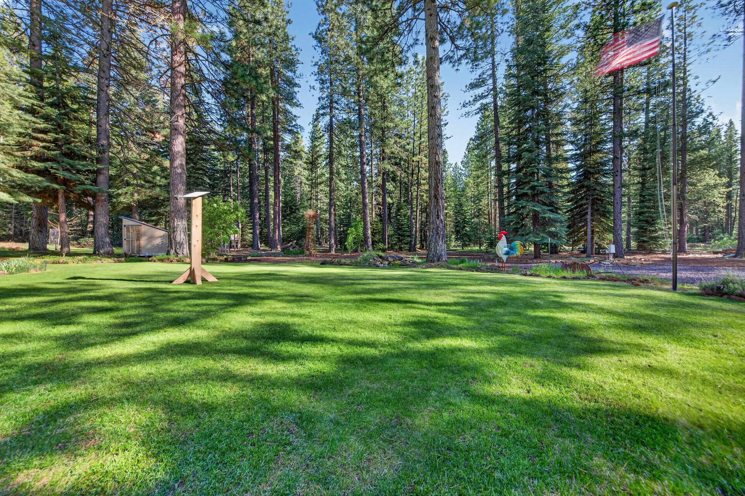 463-000 Moonlight Ranch Rd Westwood Road Susanville, CA 96130 - Photo 30 of 46 a park with lots of trees