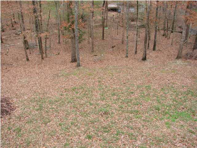 5949 Riley Road Ooltewah, TN 37363 - Photo 9 of 9 Additional Photo