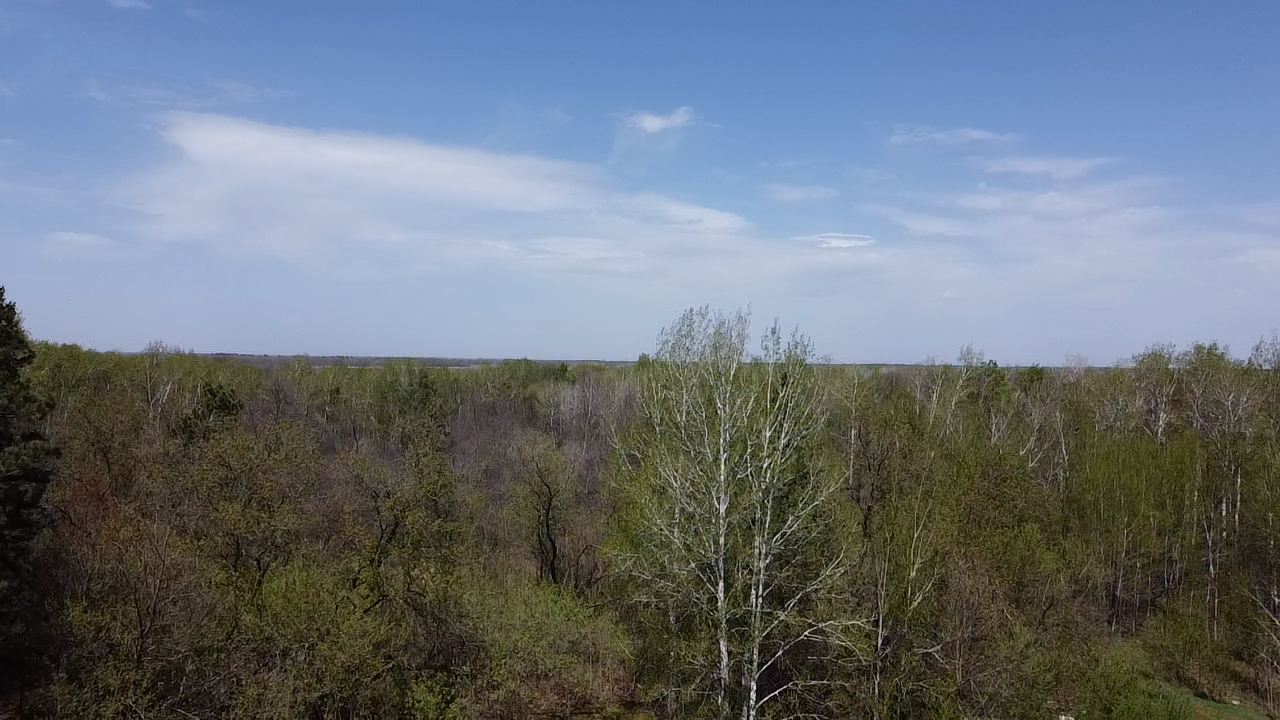 10071303 State Highway Aitkin, MN 56431 - Photo 1 of 4