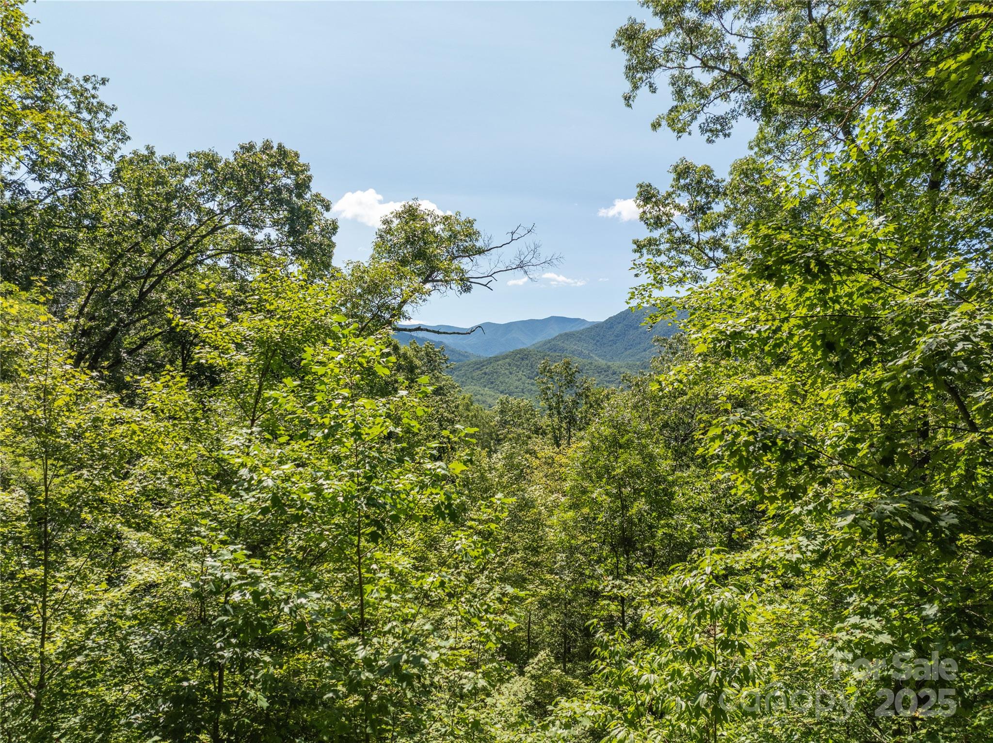 9999 Cindy Cove Road Robbinsville, NC 28771 - Photo 13 of 28