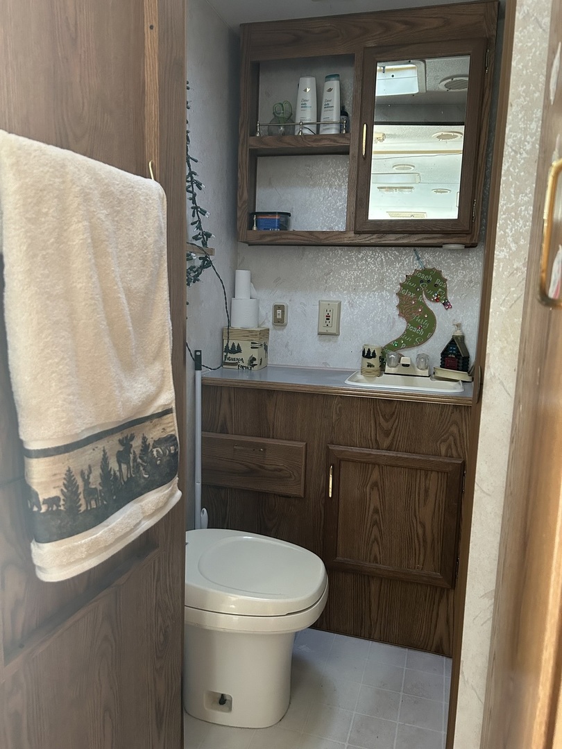 6-19 Woodhaven Lakes Sublette, IL 61367 - Photo 16 of 24 a bathroom with a toilet a sink and a window