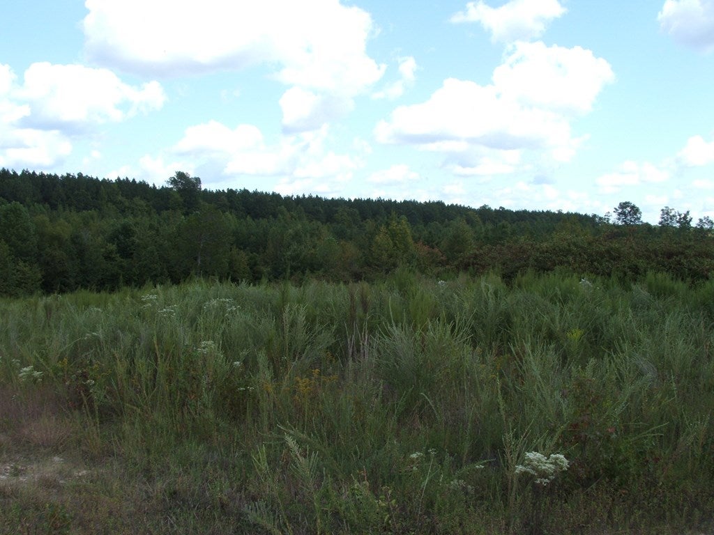 632 Newcomb Bridge Road Chase City, VA 23924 - Photo 6 of 7 Gallery Image 6