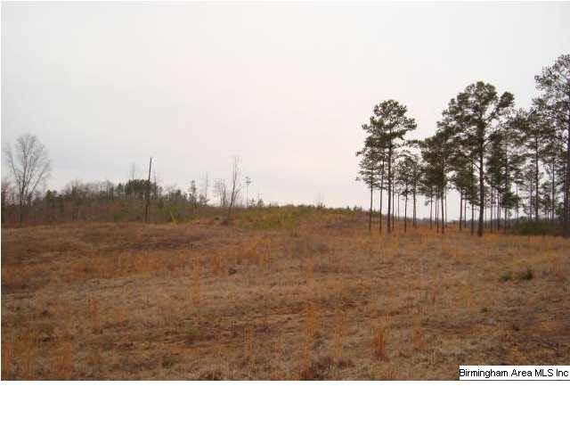 Mayo Road, Unit 96 Altoona, AL 35952 - Photo 15 of 23