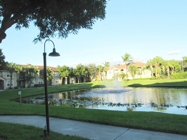 a view of a lake with a big yard and palm trees