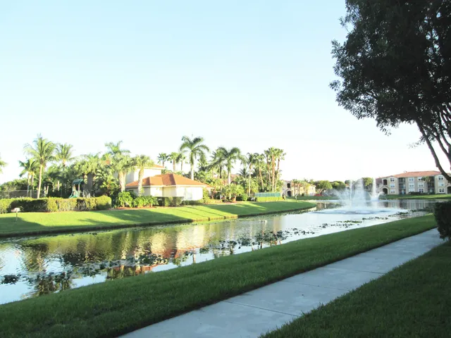 a view of a lake with a large trees