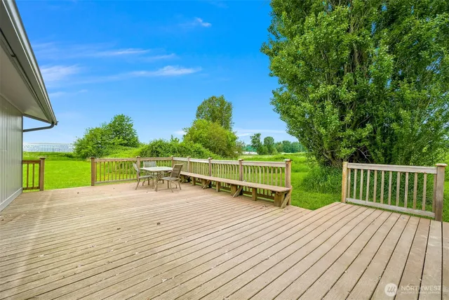 a view of a field with grass and trees