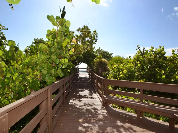 a view of beach and ocean