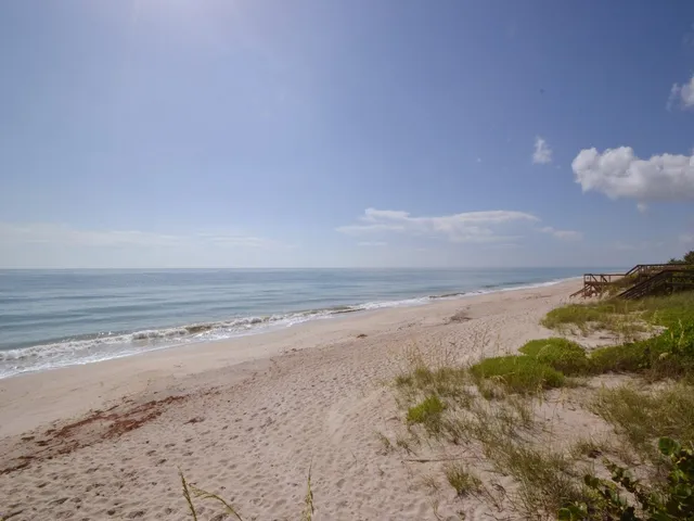 a view of beach and ocean
