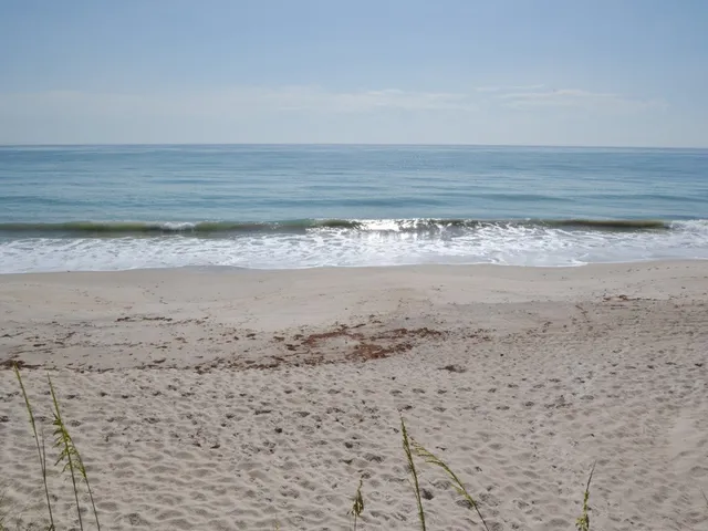 a view of a dry yard