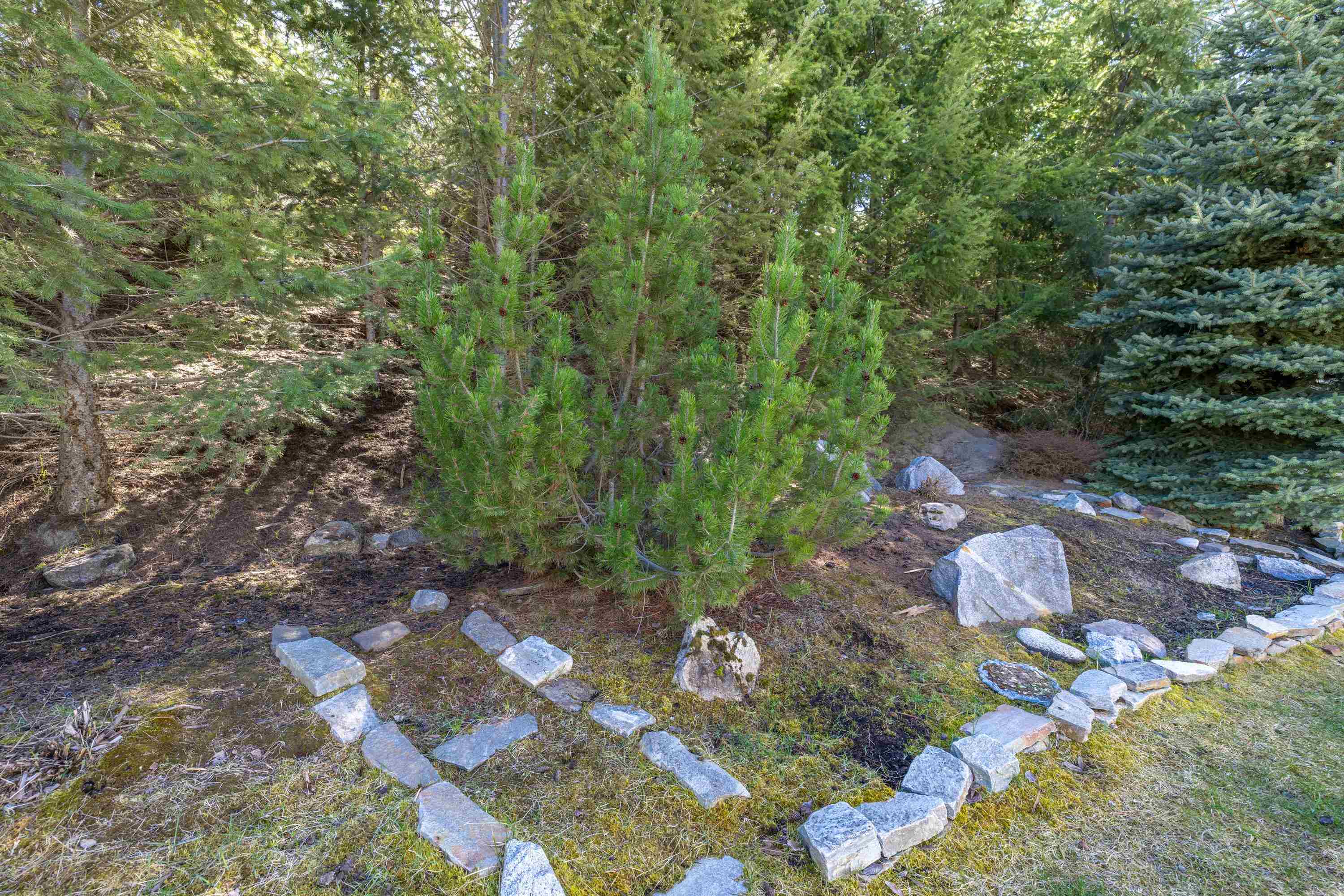 6009 Ruby Way Nine Mile Falls, WA 99026 - Photo 25 of 31