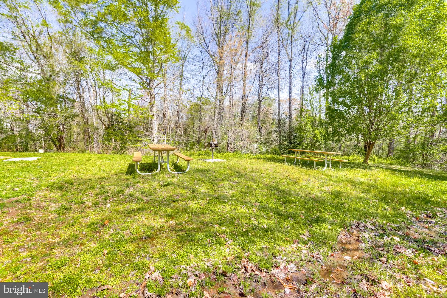 44792 Locust Ridge Court, Unit 8C California, MD 20619 - Photo 32 of 54