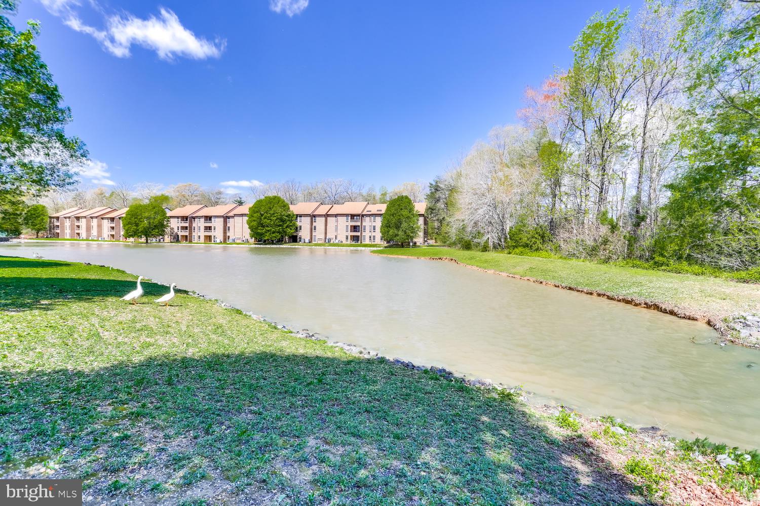 44792 Locust Ridge Court, Unit 8C California, MD 20619 - Photo 34 of 54