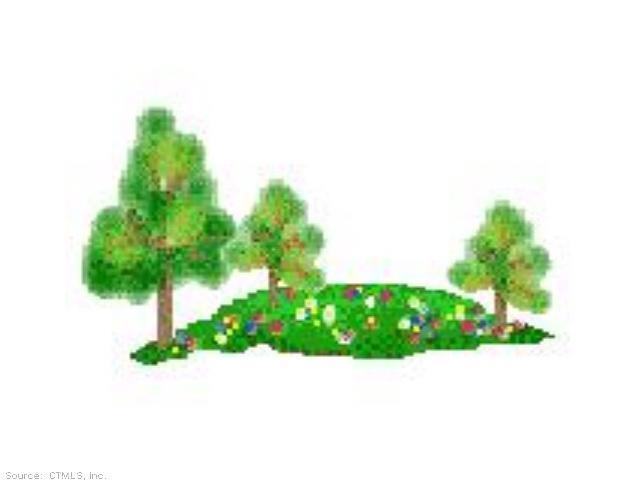 a picture of a yard with plants