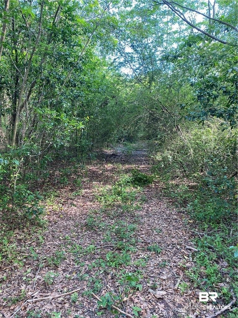 0 Aubrey Lane Chunchula, AL 36521 - Photo 2 of 7