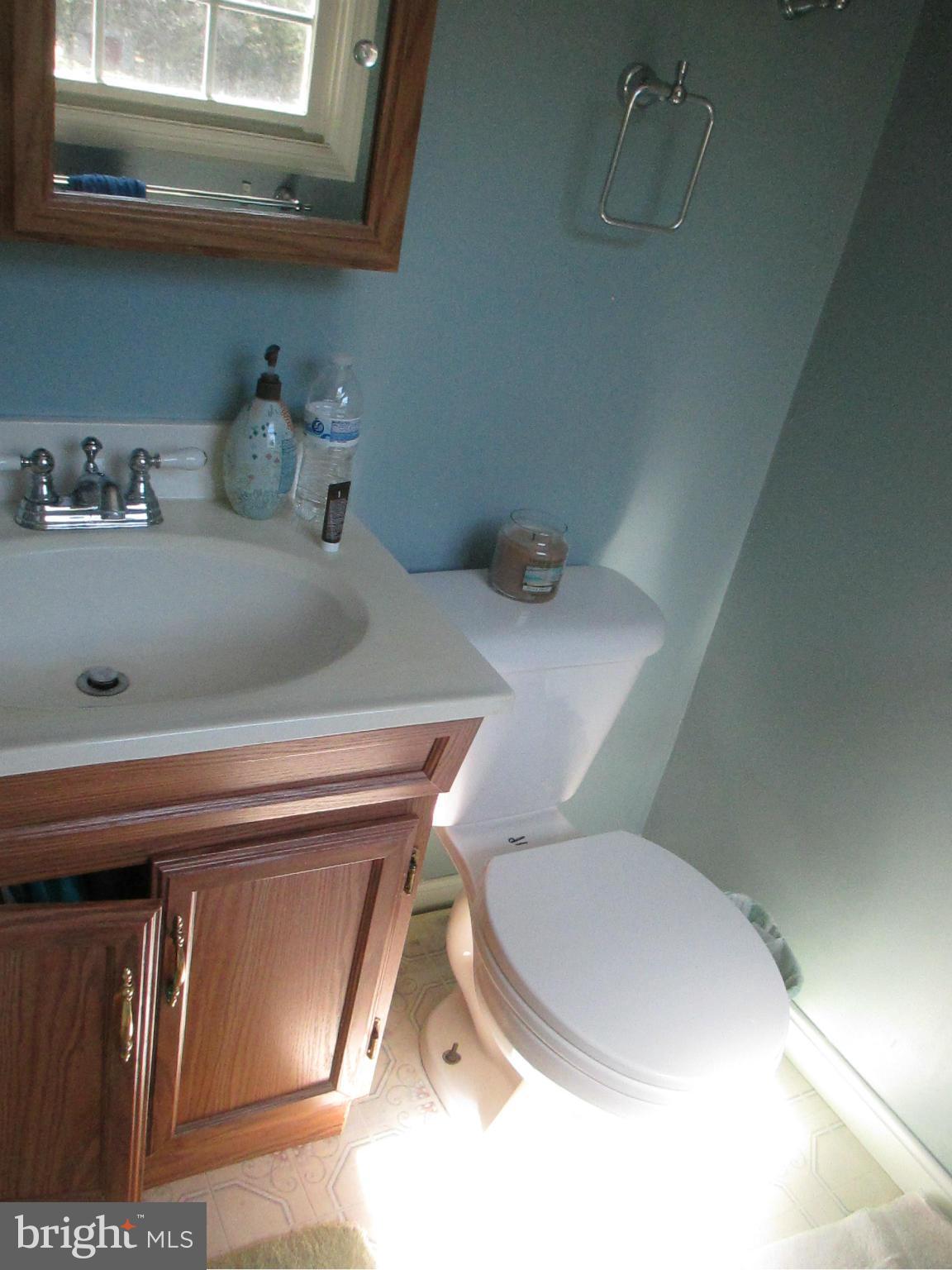 3309 Whitesworth Road Phoenix, MD 21131 - Photo 10 of 14 Bath (Master)