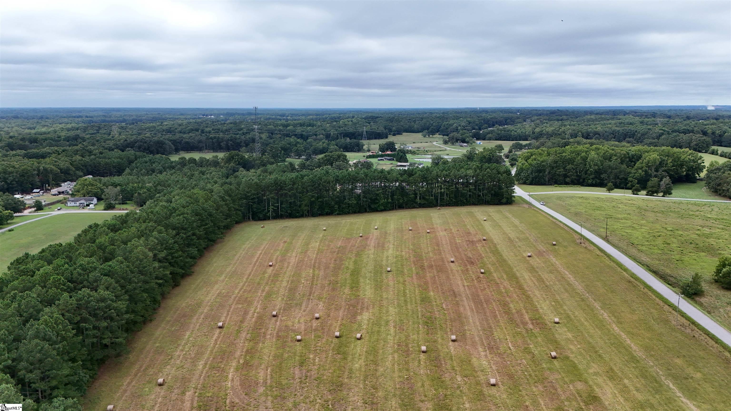 0 Richey Road, Unit LOT 5 Pelzer, SC 29669 - Photo 8 of 10