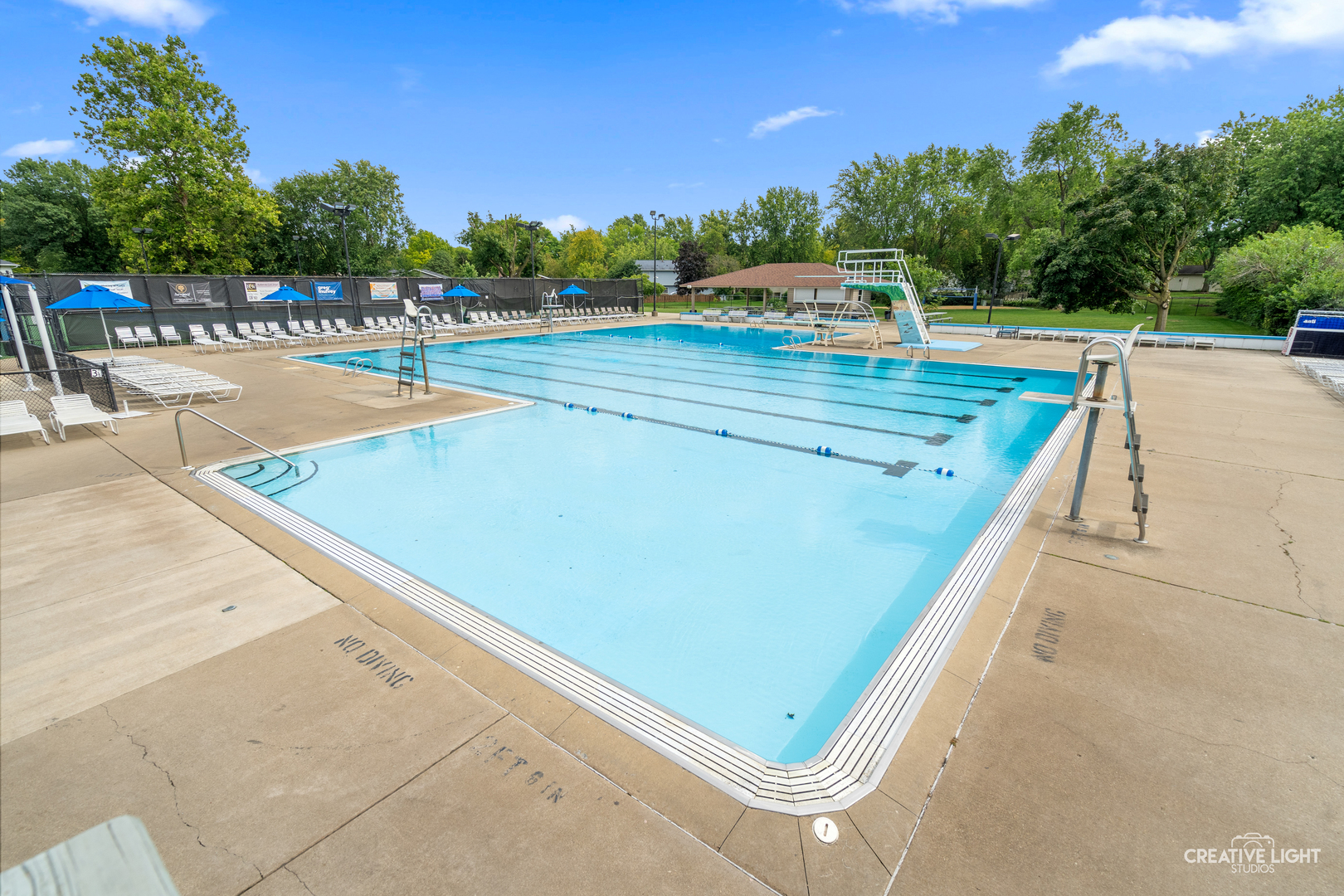 1644 Riparian Drive Naperville, IL 60565 - Photo 56 of 66