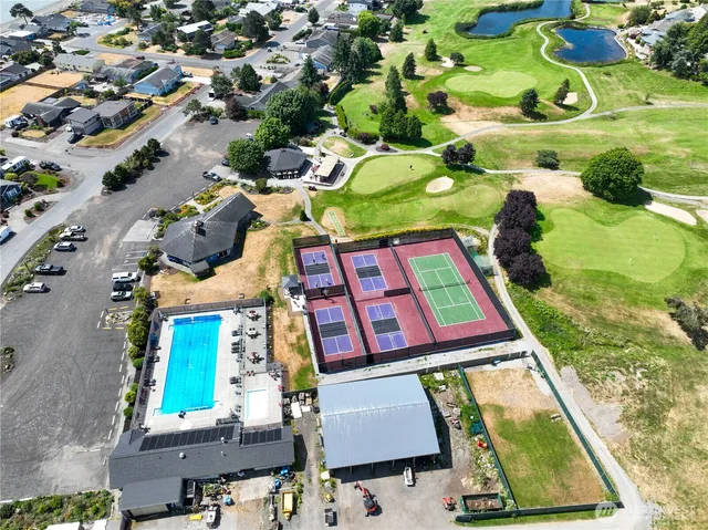 a view of a park with large trees